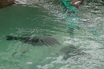 IMG_4853