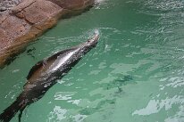 IMG_4855