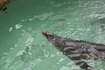 IMG_4856