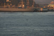 IMG_4656