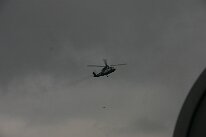 IMG_4536