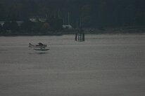 IMG_4548