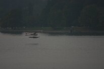 IMG_4549