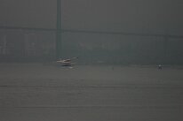 IMG_4550