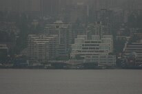 IMG_4553