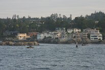 IMG_4631