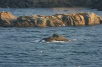 IMG_4638