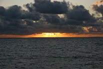 IMG_4646